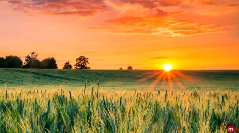 cantik hania muslimah spa salon