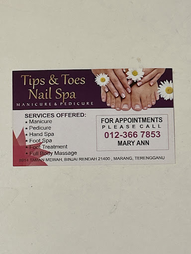 Tips & Toes Nail Spa