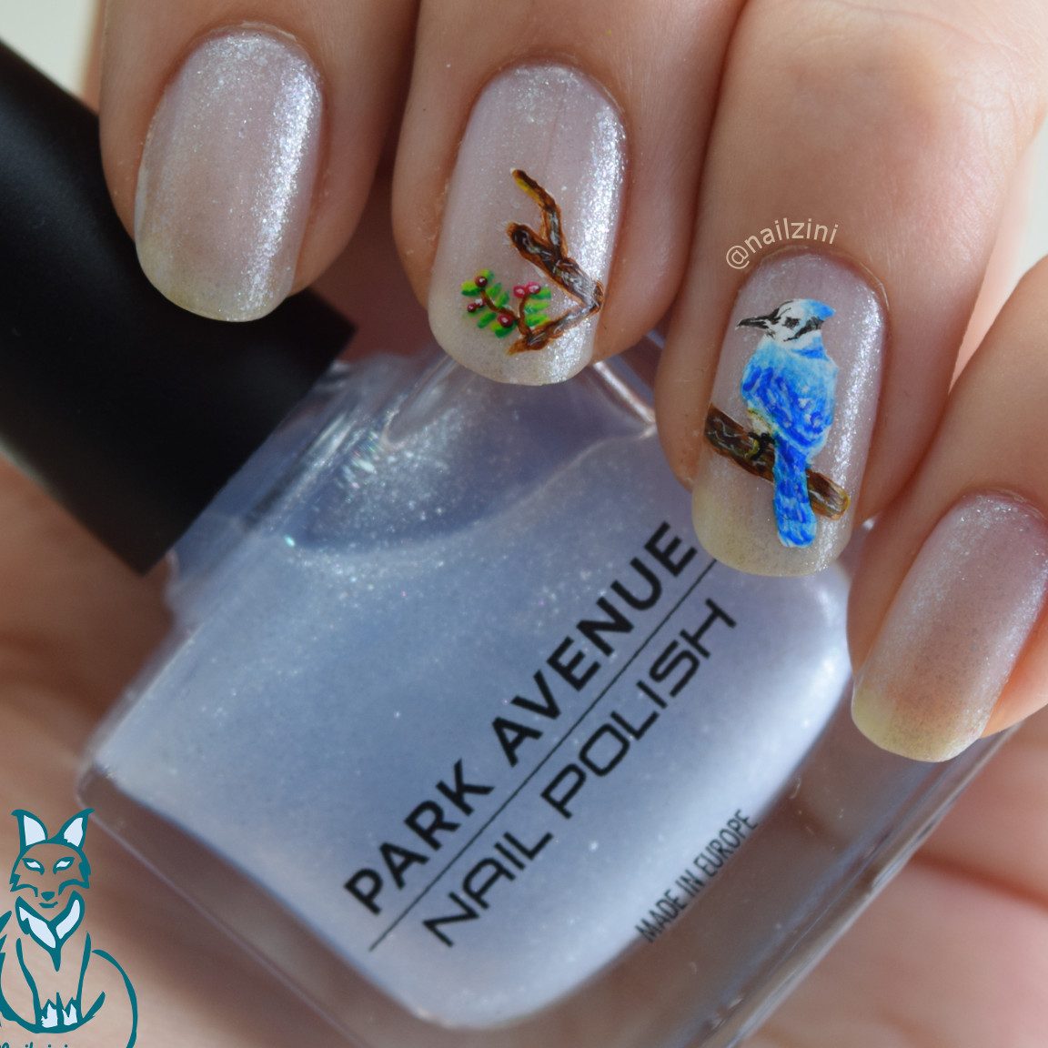 nail concept kingfisher kota kinabalu