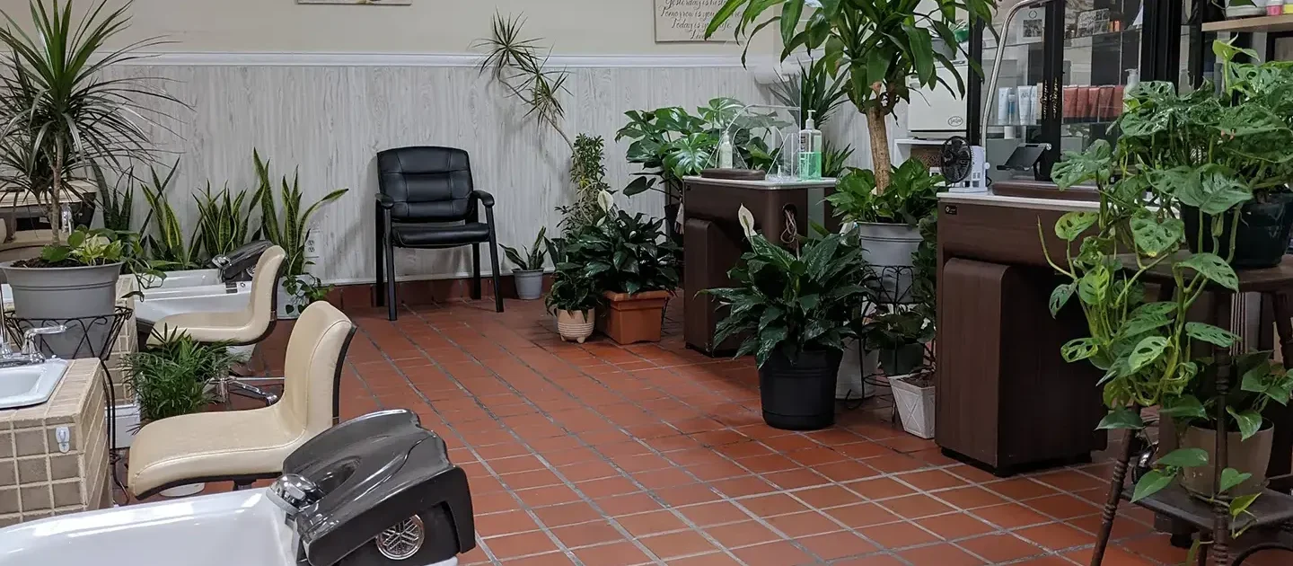 petite nail studio 2